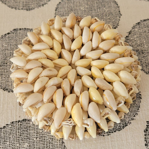 Handmade Seashell Coasters Set of 2- 4" Round - Picture 3 of 3